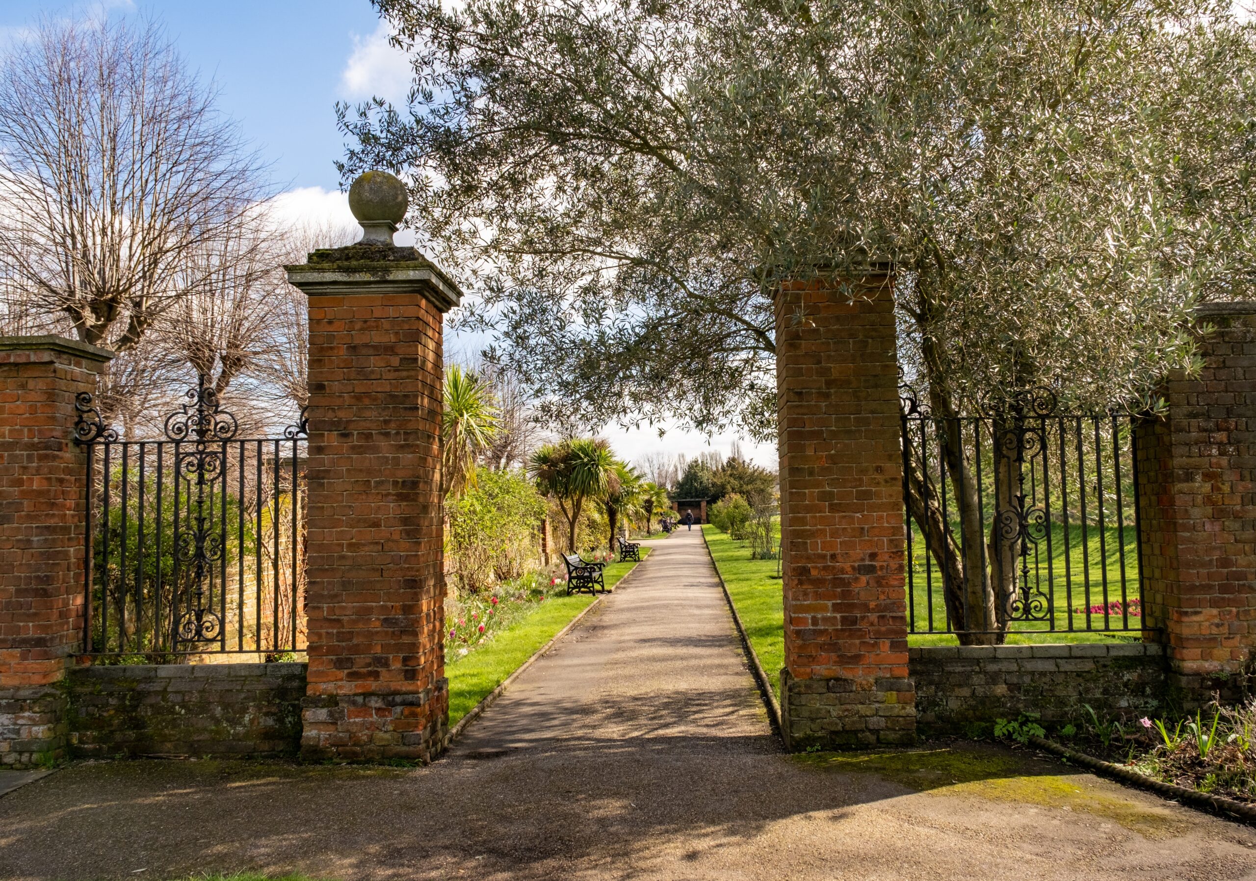 Peaceful park garden walkway lined with trees and greenery near a Colchester solicitor’s.